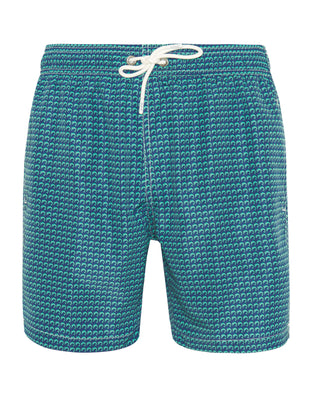 Blue & green dolphin print swim shorts